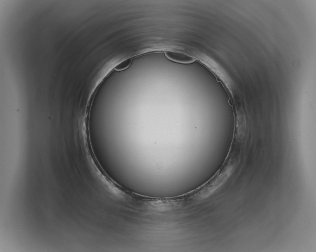 X0000111430906200907201106