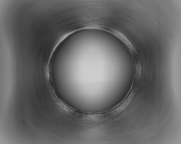 X0000111430908200907201106