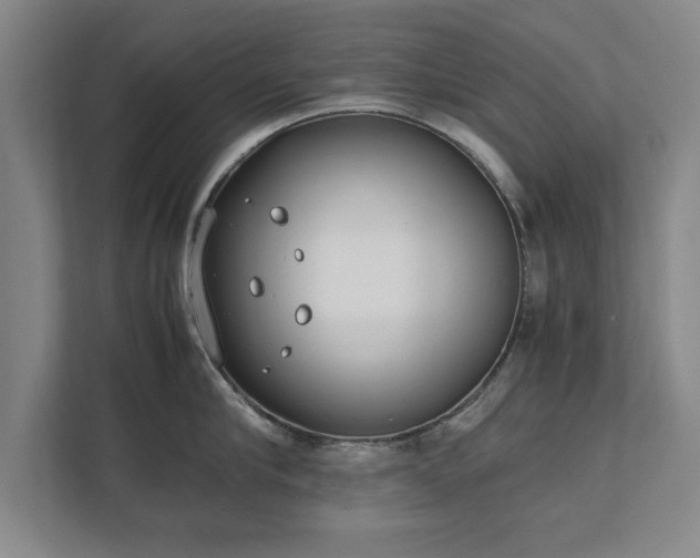 X0000111430910200907201106