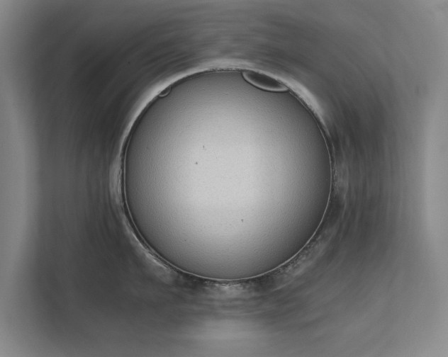 X0000111430911200907201106