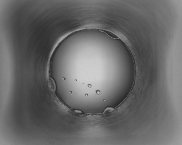 X0000111430912200907201106