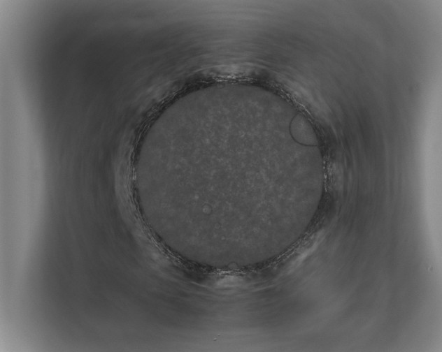 X0000111430913200907201105