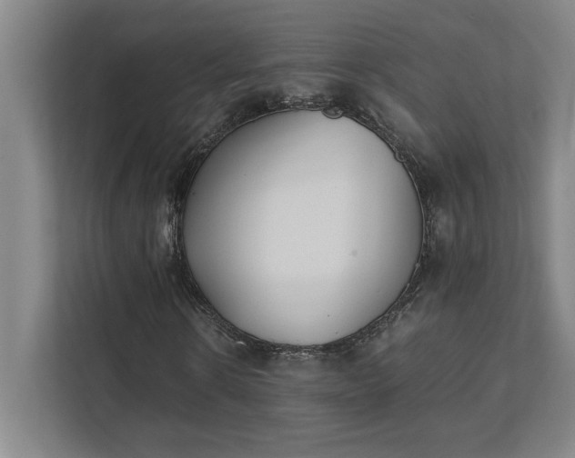 X0000111430914200907201105