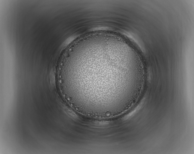 X0000111430921200907201105