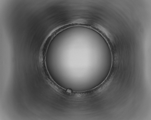 X0000111430923200907201105