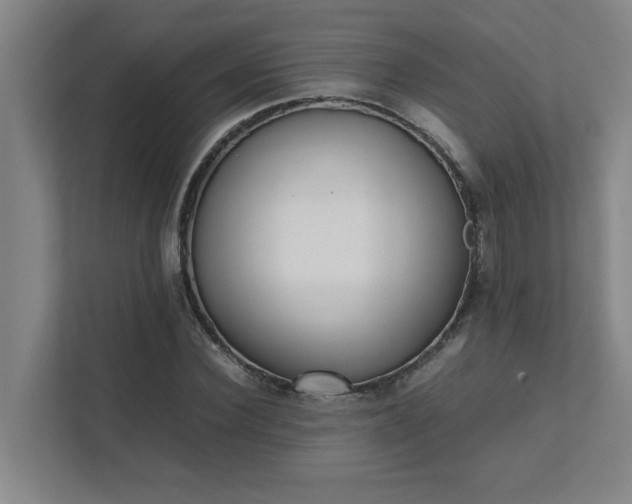 X0000111430924200907201105