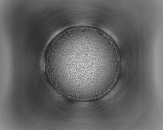 X0000111430925200907201105