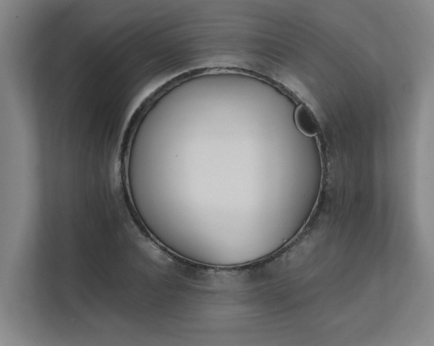 X0000111430928200907201105