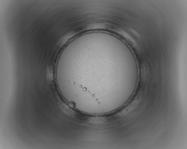 X0000111430929200907201105