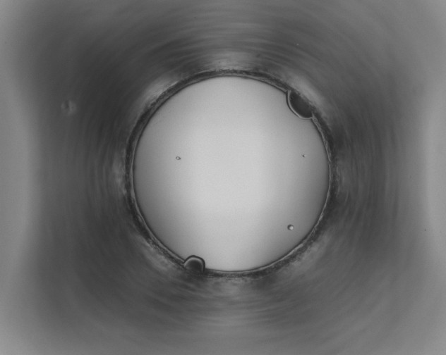 X0000111430930200907201105