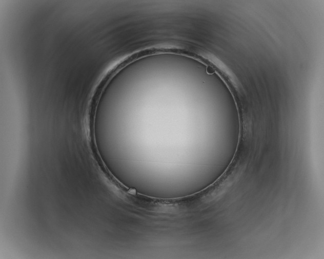 X0000111430935200907201105