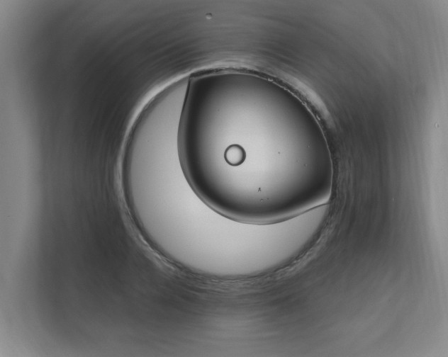 X0000111430936200907201105