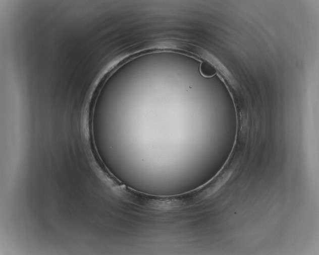 X0000111430939200907201105