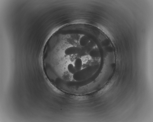 X0000111430941200907201105