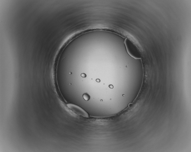 X0000111430942200907201105