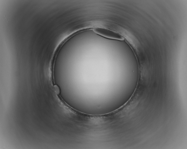 X0000111430944200907201105