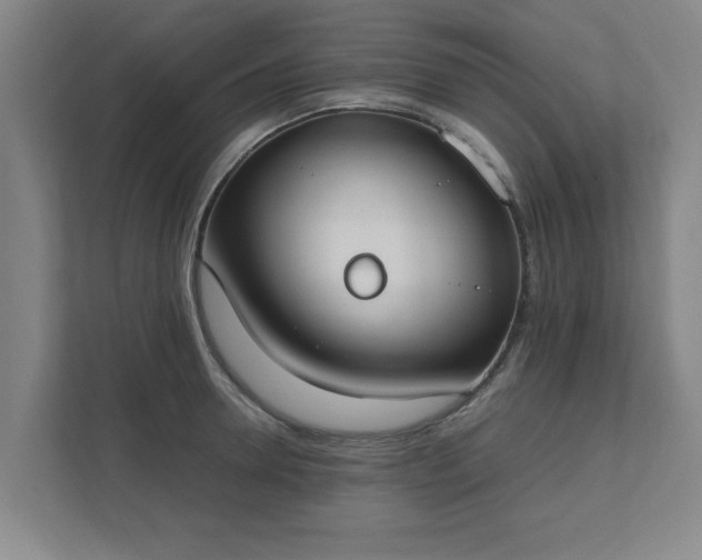 X0000111430946200907201105