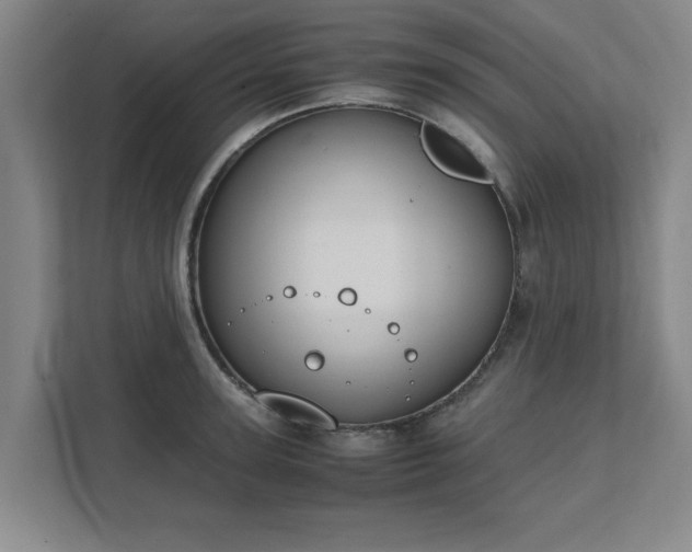 X0000111430947200907201105