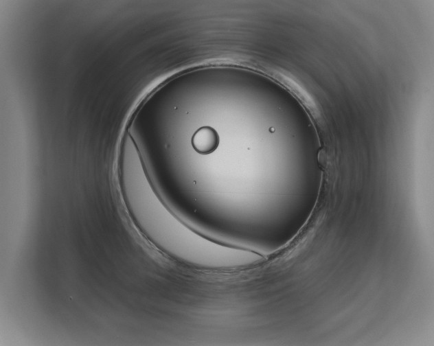 X0000111430948200907201106