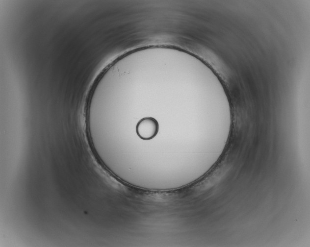 X0000111430950200907201106