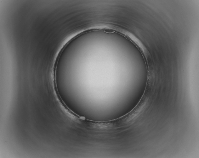 X0000111430951200907201106