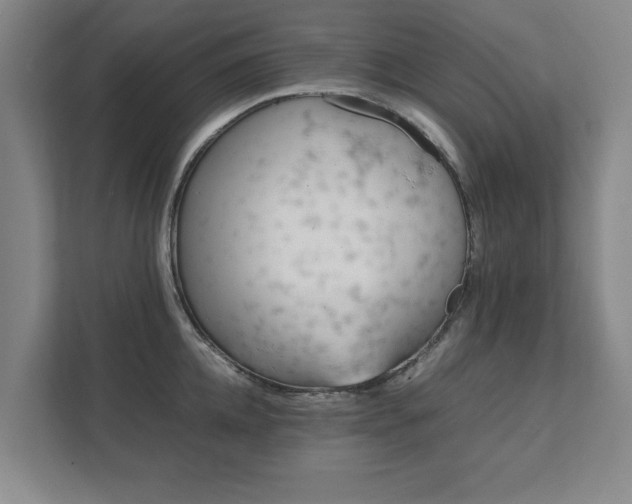 X0000111430952200907201106