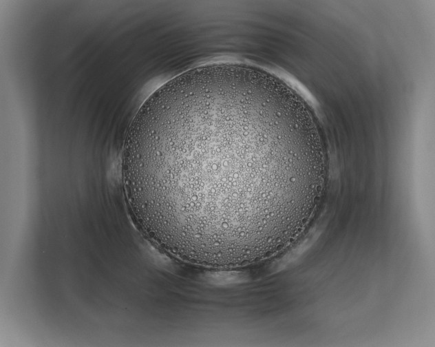 X0000111430953200907201106