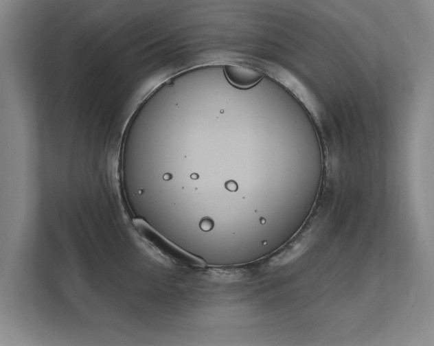 X0000111430954200907201106