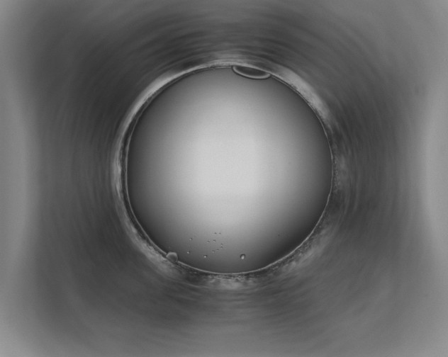 X0000111430955200907201106