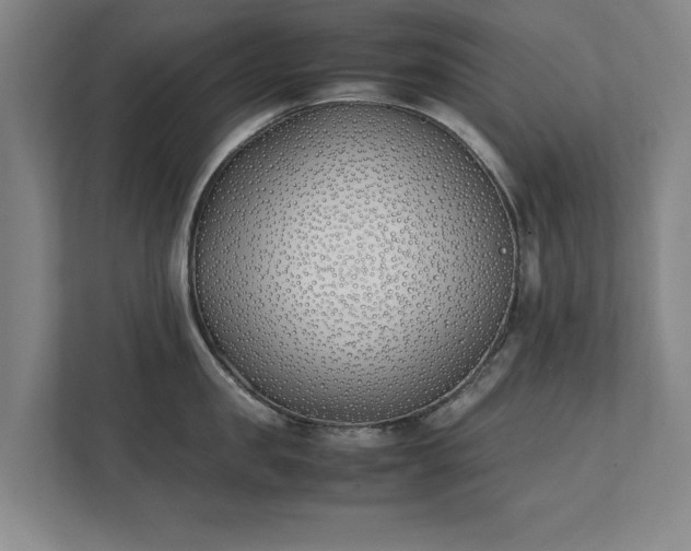 X0000111430957200907201106