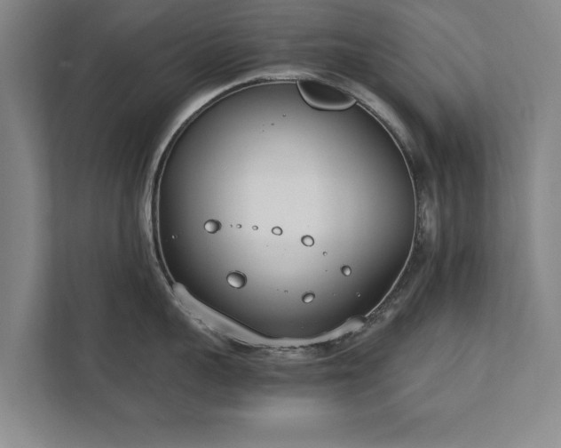 X0000111430959200907201106