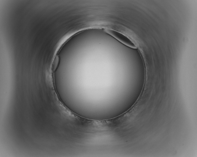 X0000111430960200907201106