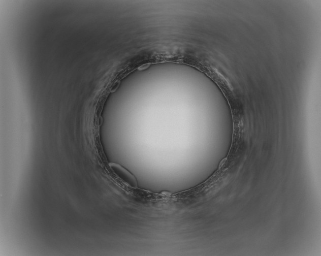 X0000111430961200907201105