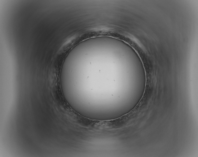 X0000111430967200907201105