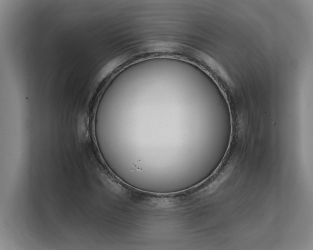 X0000111430970200907201105