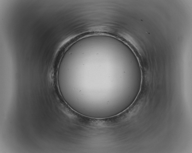 X0000111430971200907201105