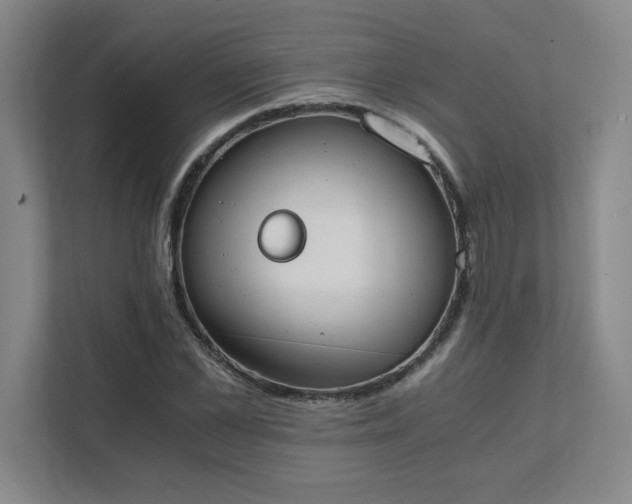 X0000111430973200907201105