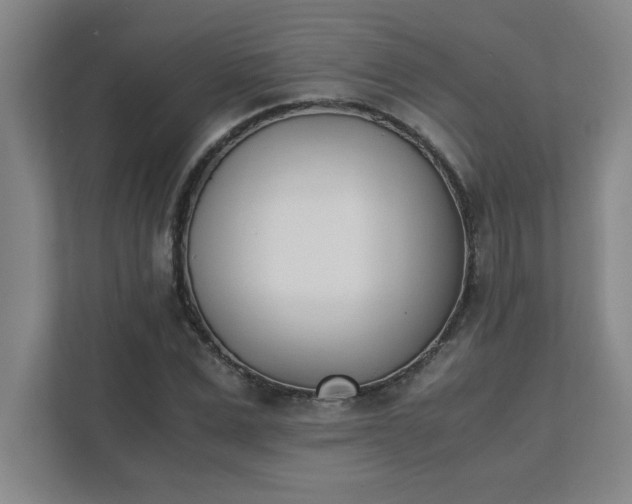 X0000111430975200907201105