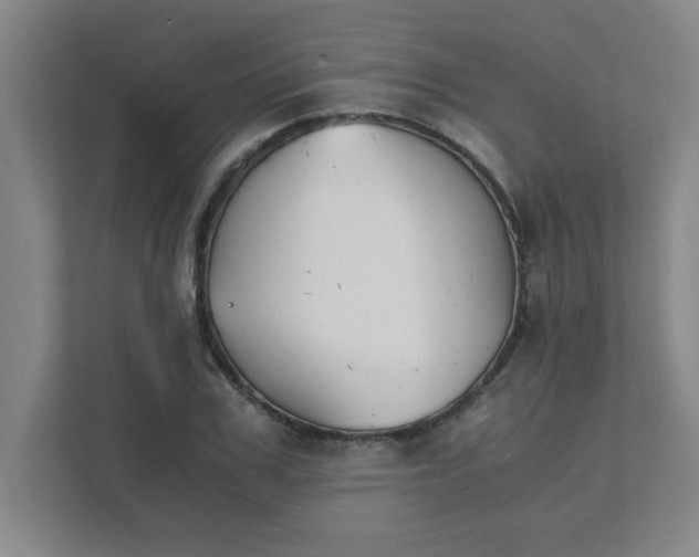 X0000111430979200907201105