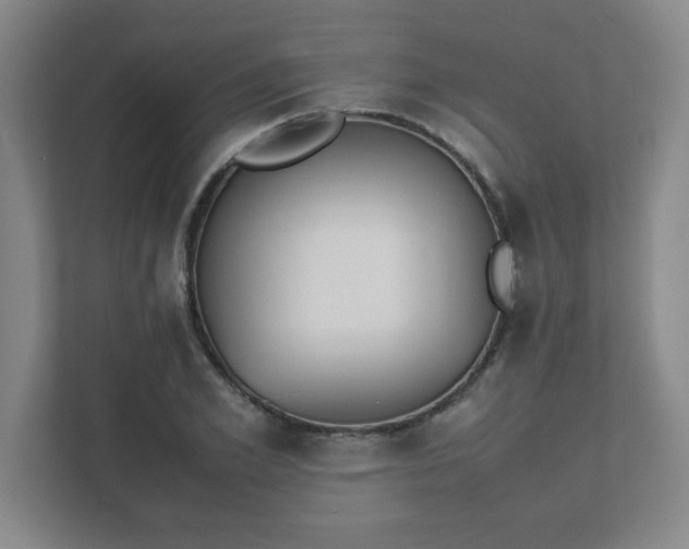 X0000111430981200907201105