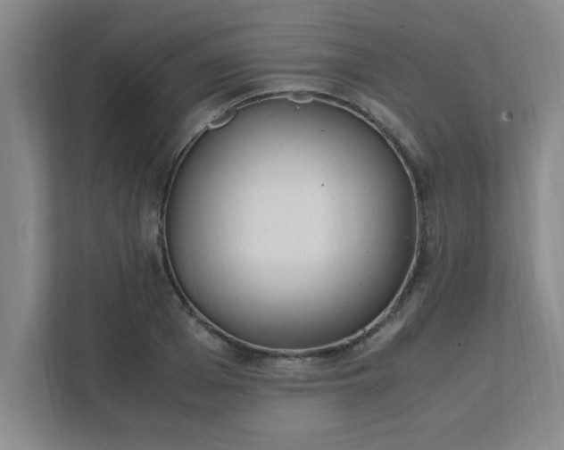 X0000111430985200907201105