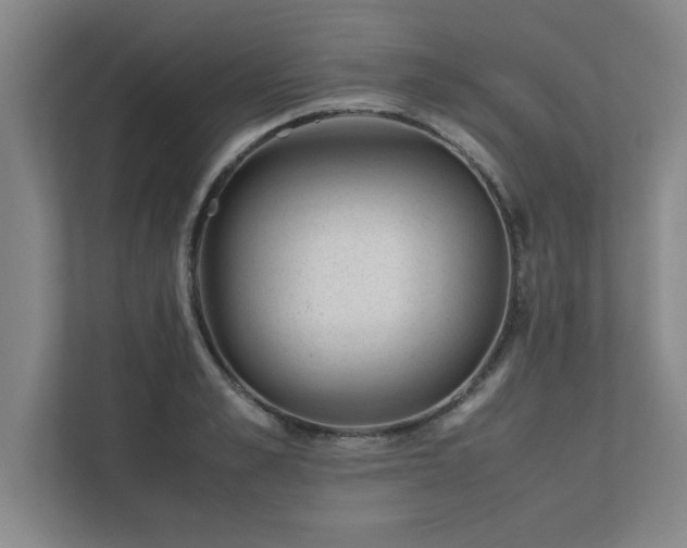 X0000111430989200907201105