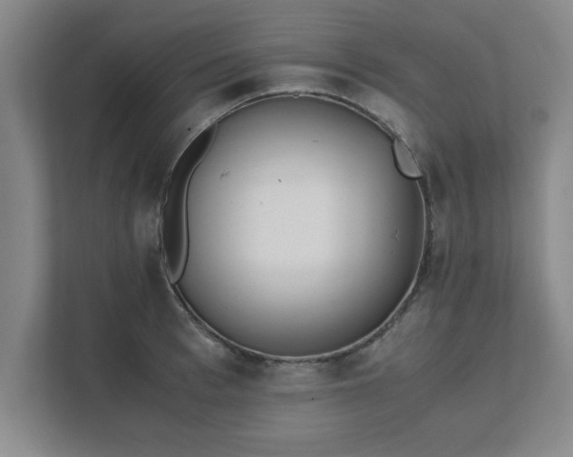 X0000111430993200907201105