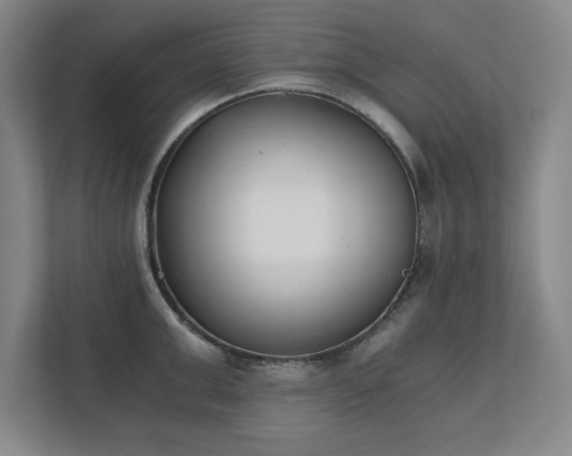 X0000111430999200907201105