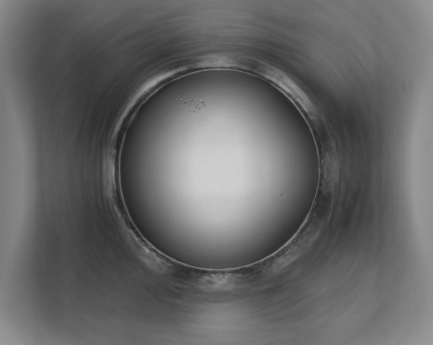 X0000111431000200907201105