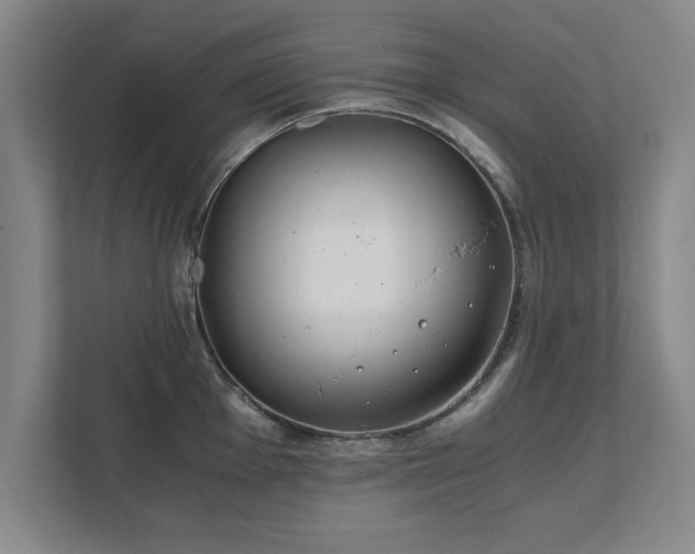 X0000111431001200907201105