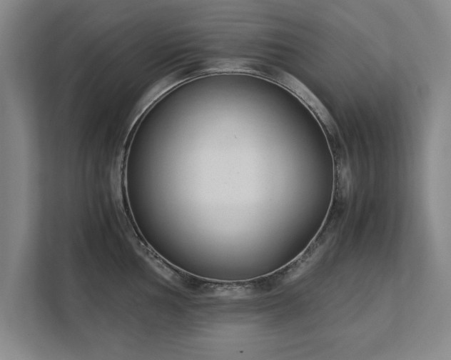 X0000111431002200907201105