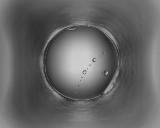 X0000111431005200907201104