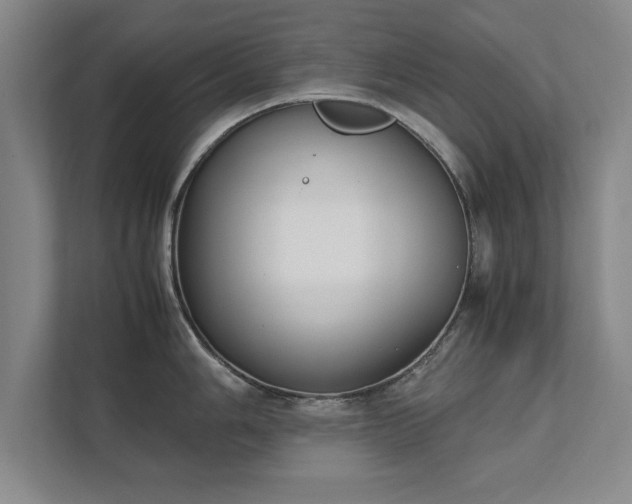 X0000111431006200907201104