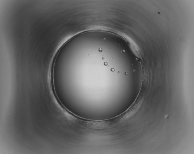 X0000111431007200907201104